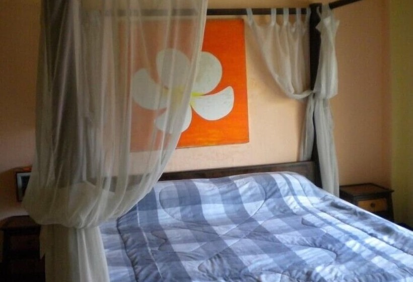 Pensão Nicky's Guesthouse