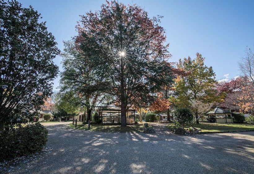 The Birch House Silver Birches