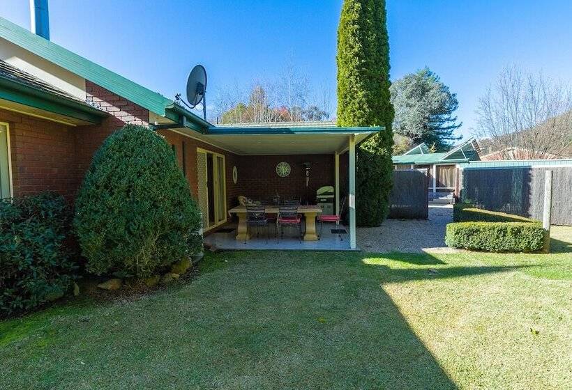 The Birch House Silver Birches