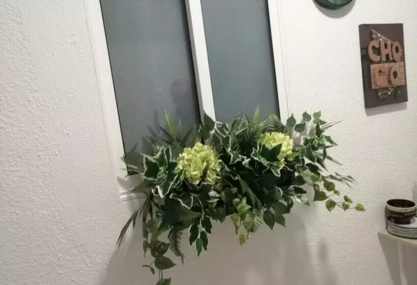 هاستل La Marina