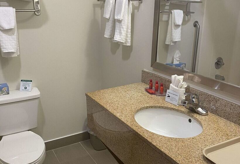 فندق Surestay By Best Western Grayson