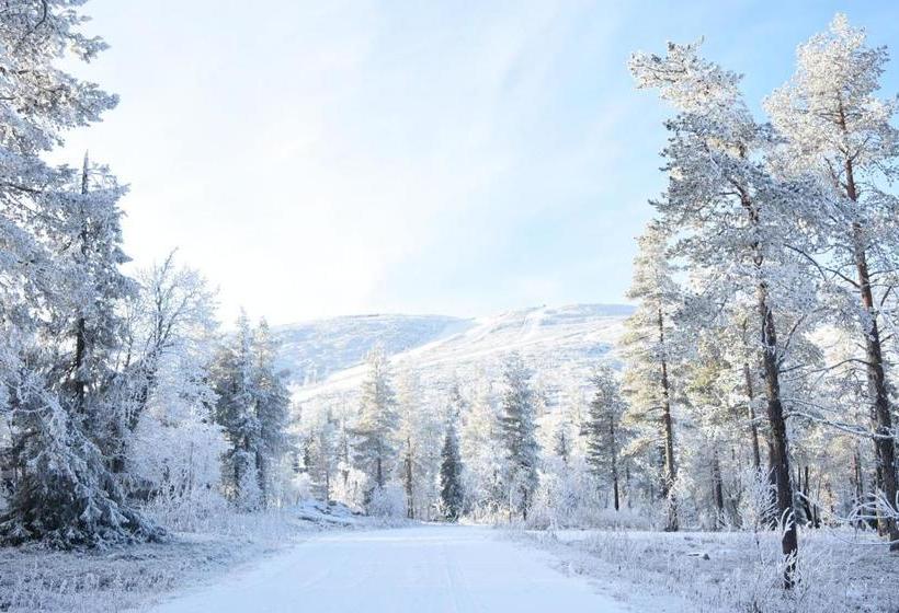 Golden Crown   Levin Iglut