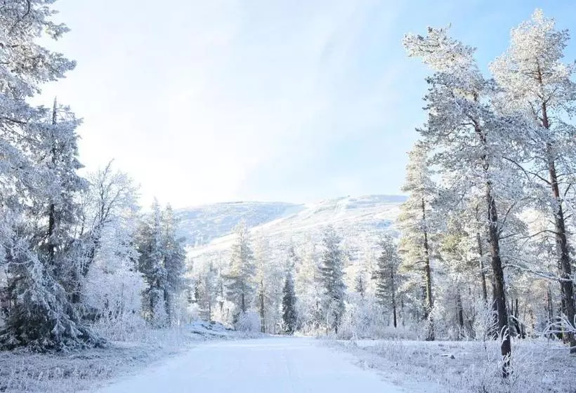 Golden Crown Levin Iglut