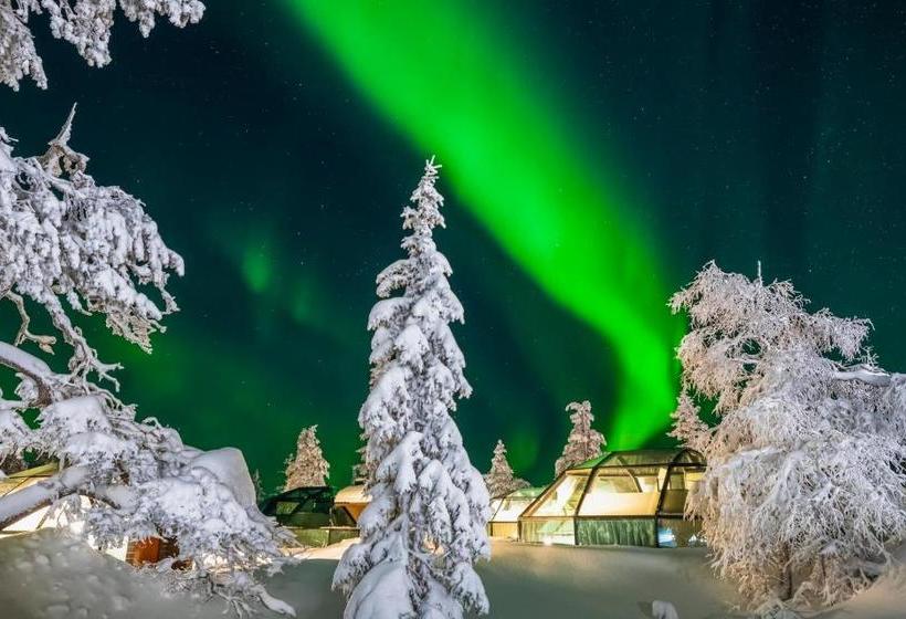 Golden Crown   Levin Iglut