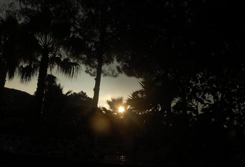 בית מלון כפרי Al Togo Fitness & Relax