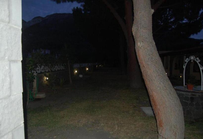 בית מלון כפרי Al Togo Fitness & Relax