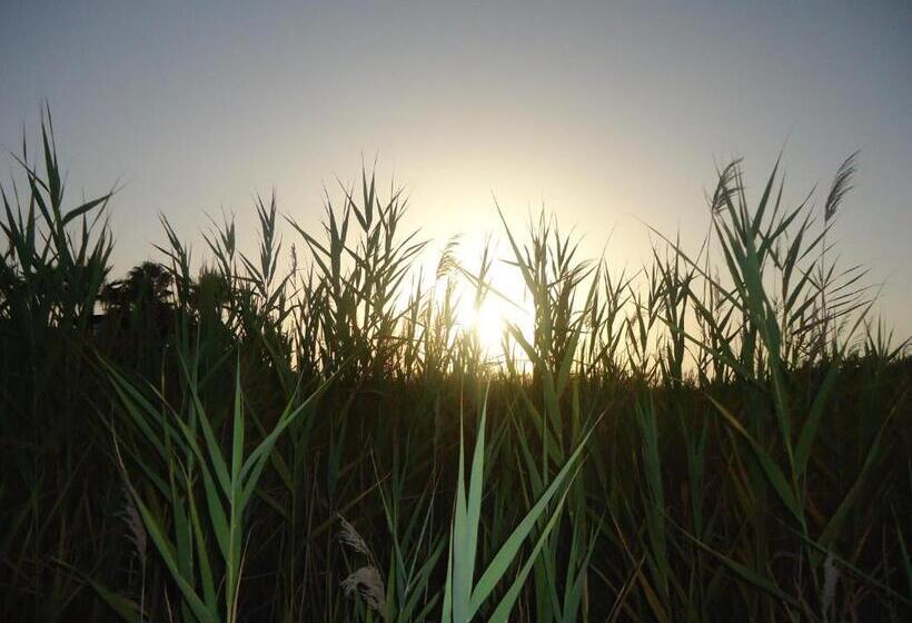 בית מלון כפרי Al Togo Fitness & Relax