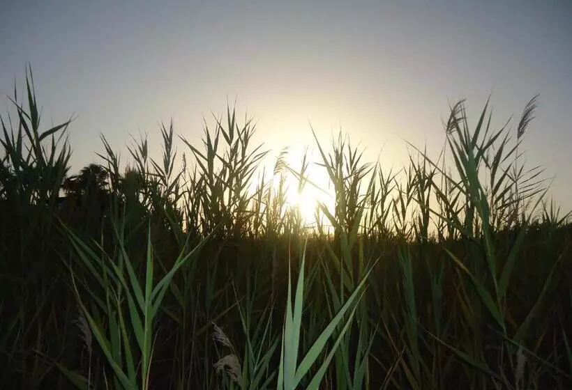 בית מלון כפרי Al Togo Fitness & Relax