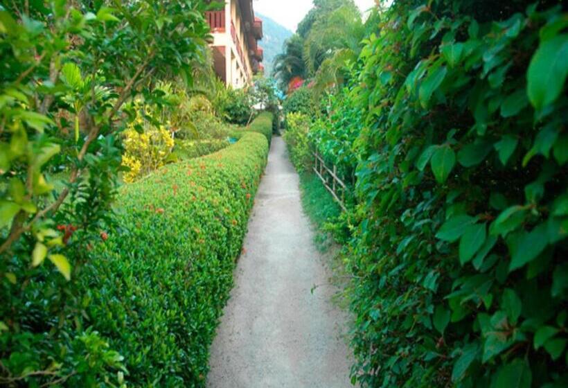 Отель Asia Divers Resort