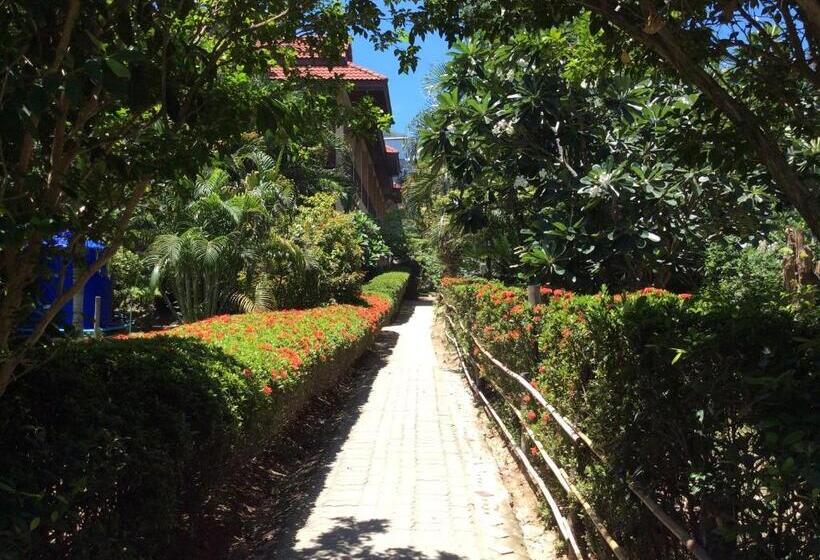 Отель Asia Divers Resort