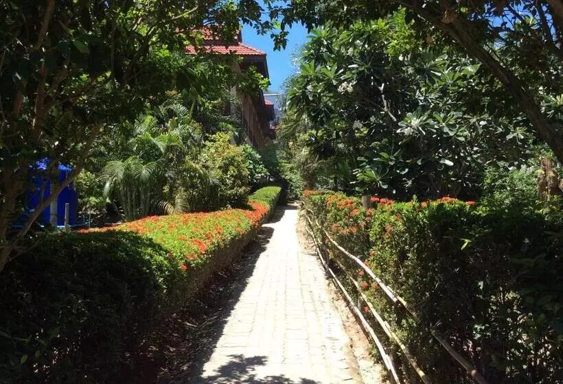 Отель Asia Divers Resort