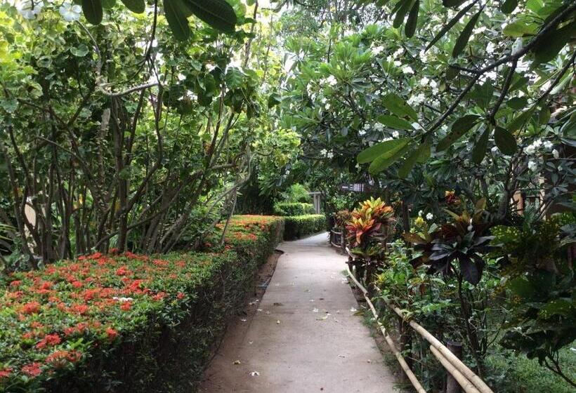 Отель Asia Divers Resort