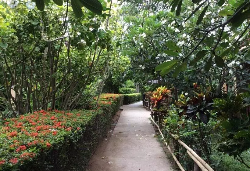 Отель Asia Divers Resort