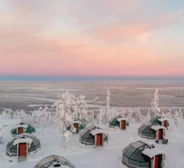 Golden Crown Levin Iglut