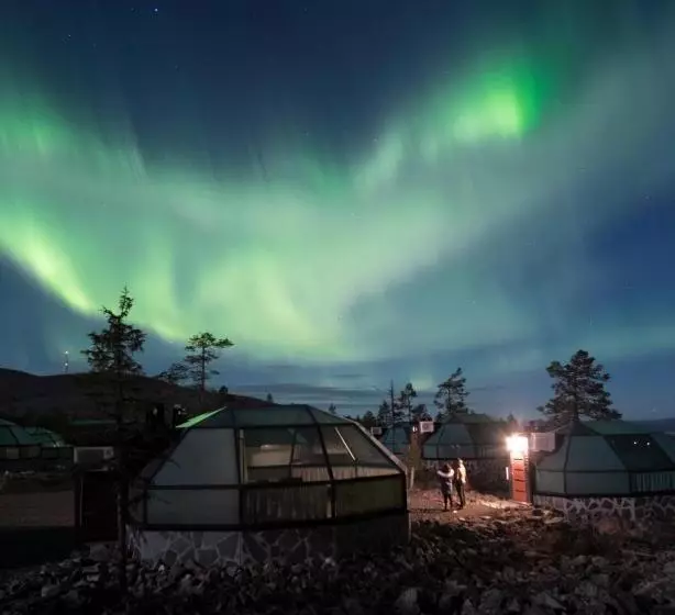 Golden Crown Levin Iglut