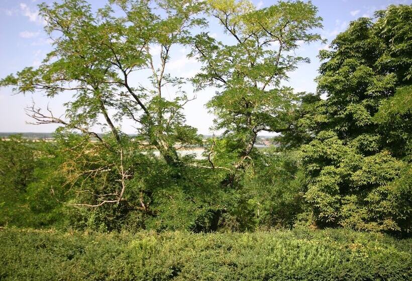 פנסיון Chateau De Loubejac