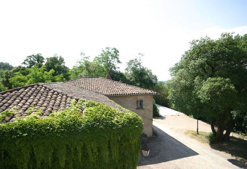 פנסיון Chateau De Loubejac