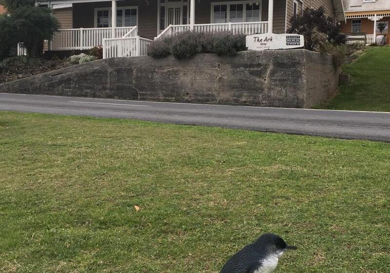 Пансион The Ark Stanley Luxury Bed And Breakfast