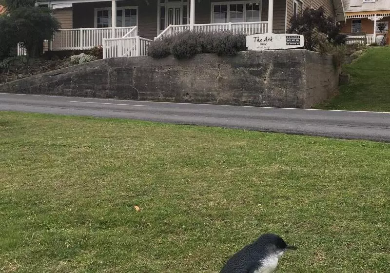 Пансион The Ark Stanley Luxury Bed And Breakfast