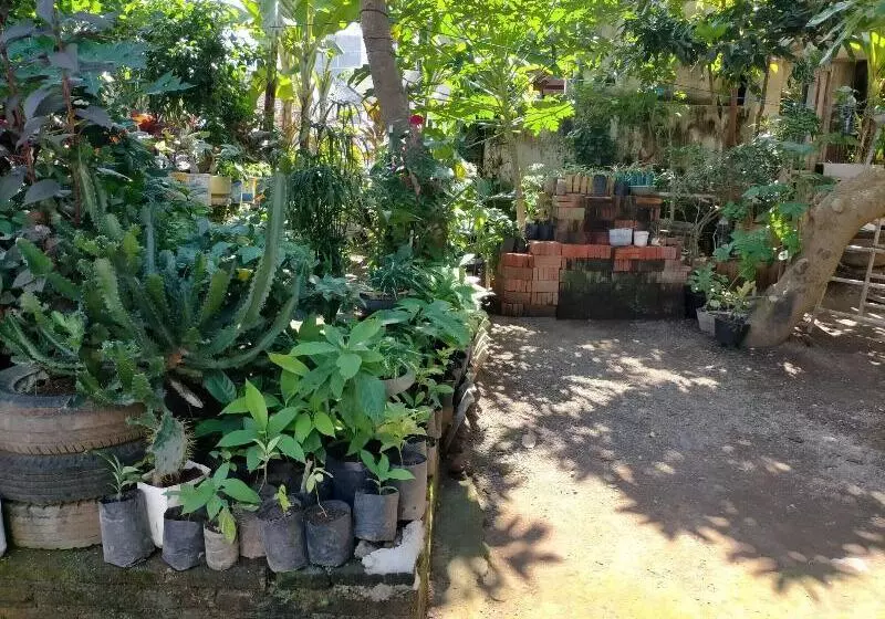 هتل Cheap Inn By Zuzu