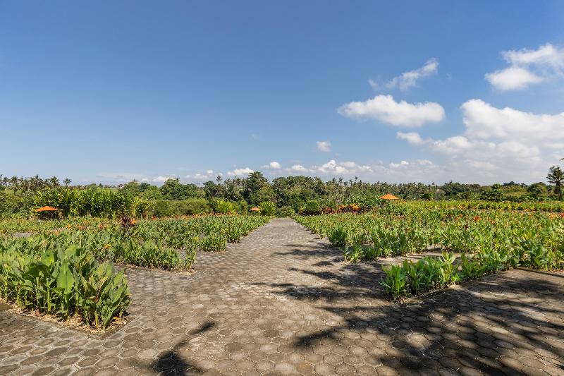 Otel Swan Paradise A Pramana Experience