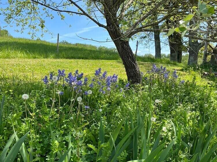 פנסיון Domaine Labouroume