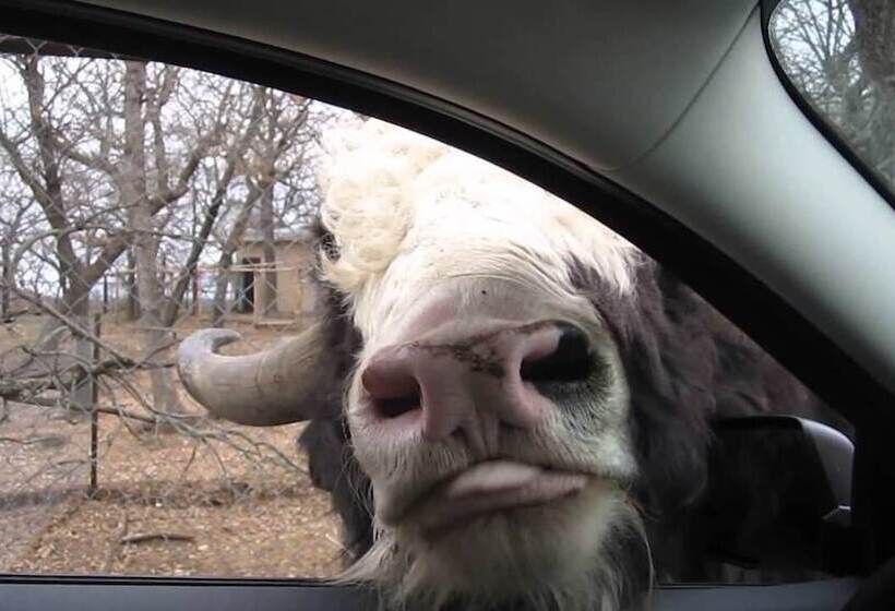 מוטל Stay Inn Oklahoma At Turner Falls