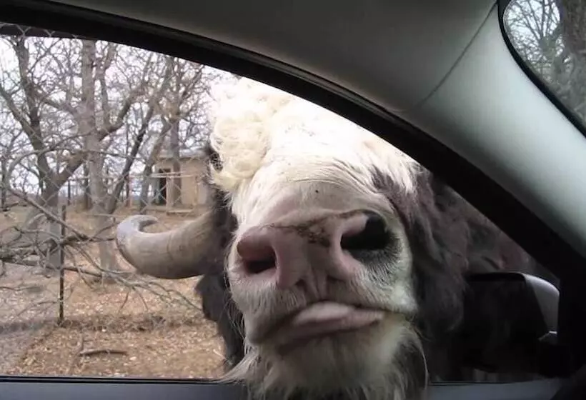 Motelli Stay Inn Oklahoma At Turner Falls