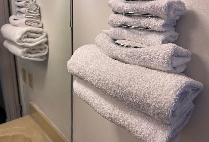 汽车旅馆 Windtree Inn