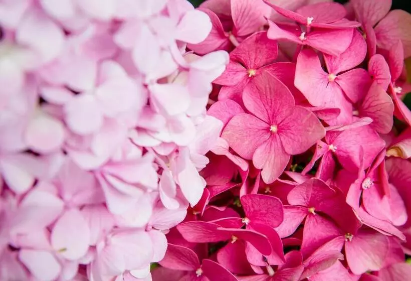 Majatalo La Bigourdane