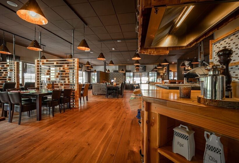 渡假胜地 Vakantiepark Hellendoorn