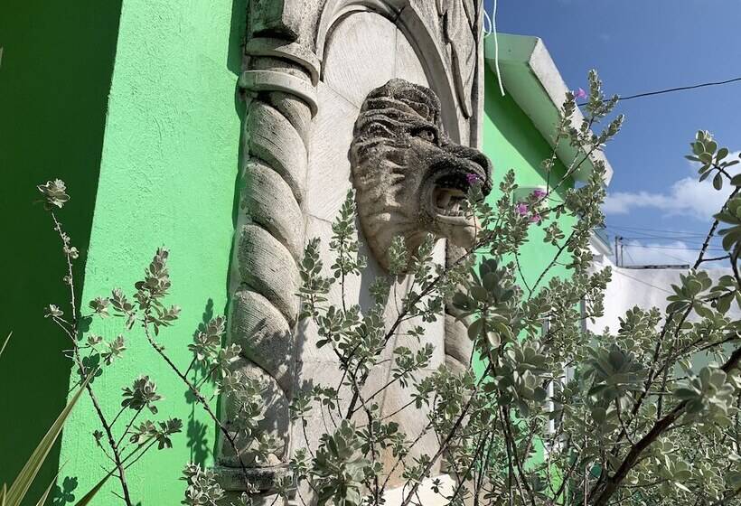 فندق Villa Leo Cancun Downtown