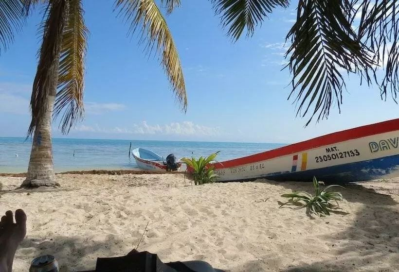 Hotelli Villas Roseliz Punta Allen