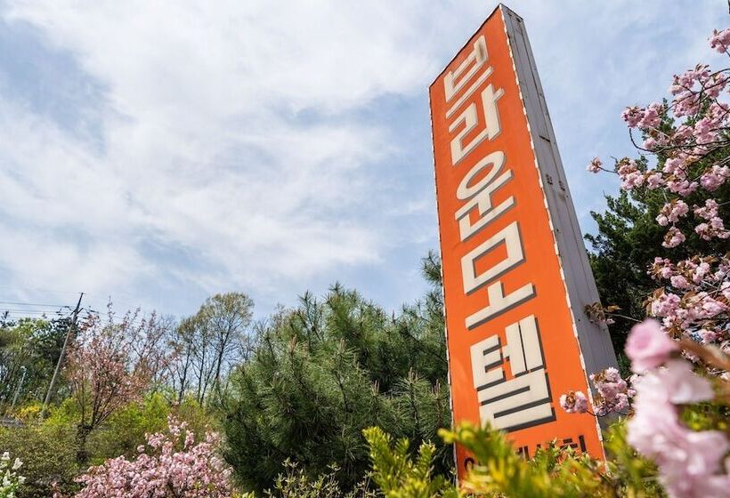 מוטל Gapyeong Brown