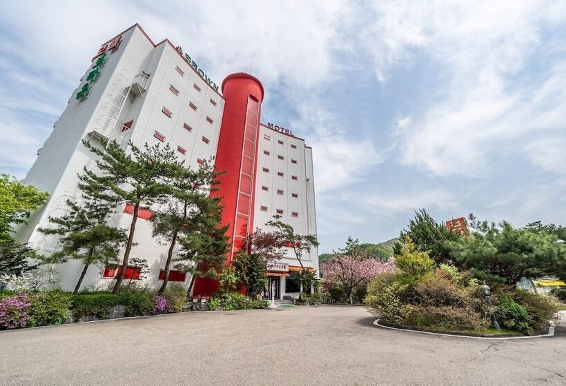 מוטל Gapyeong Brown