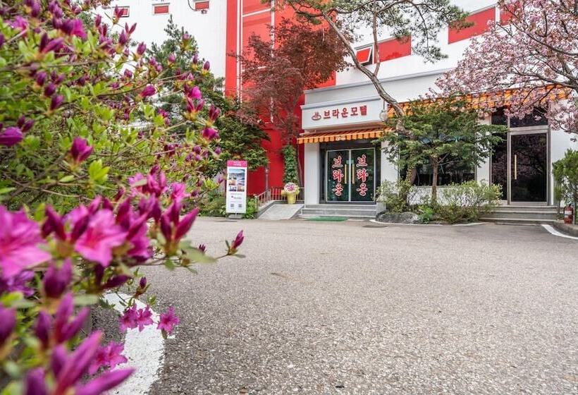 מוטל Gapyeong Brown