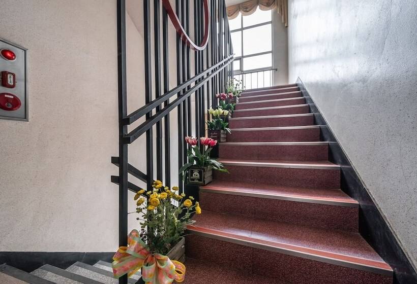 מוטל Gapyeong Brown