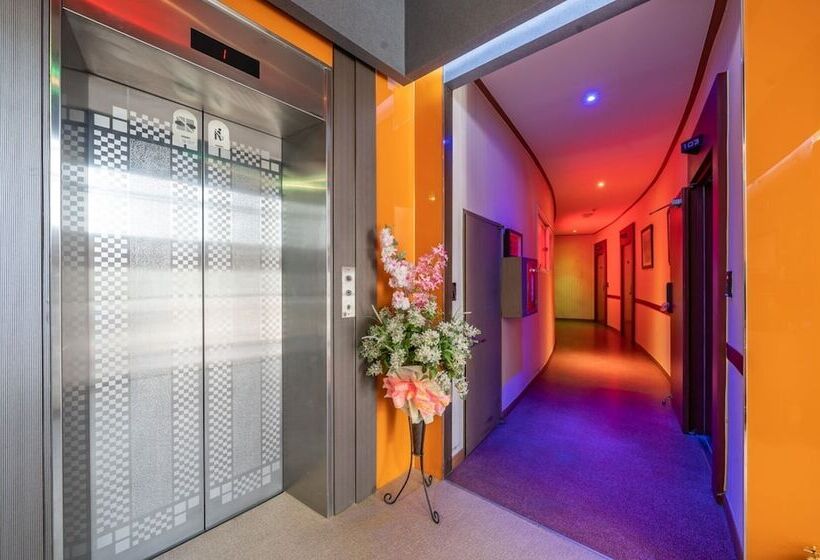 מוטל Gapyeong Brown