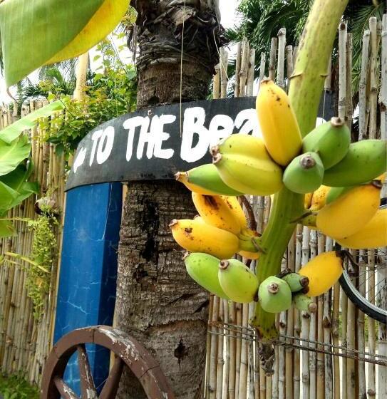 הוסטל North Shores Inn