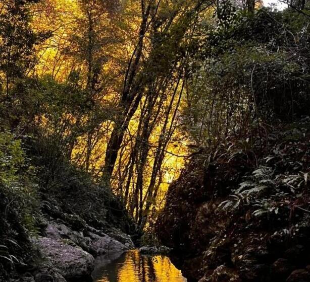 پانسیون B&b Candalla