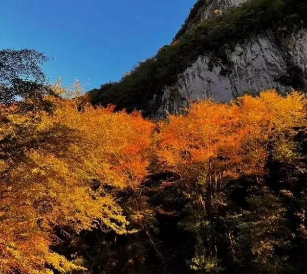 Majatalo B&b Candalla