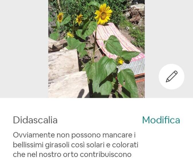 پانسیون B&b Candalla