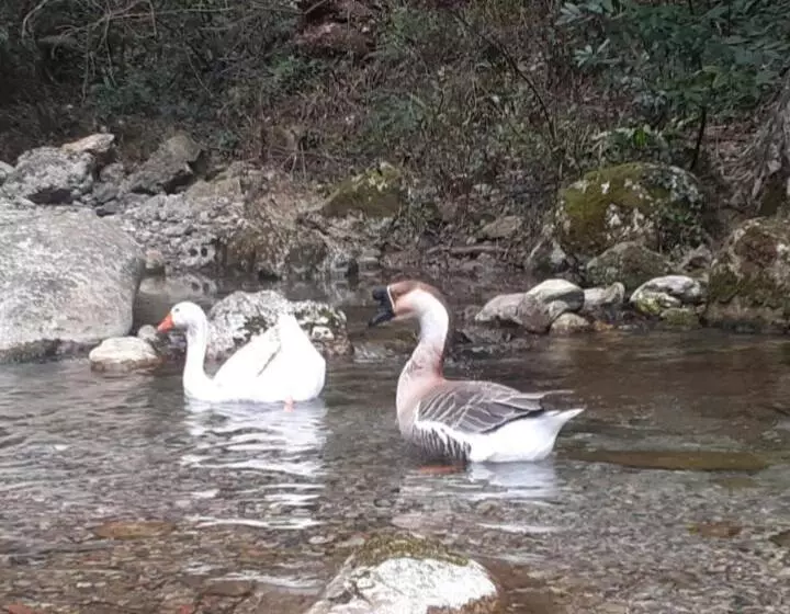 Majatalo B&b Candalla