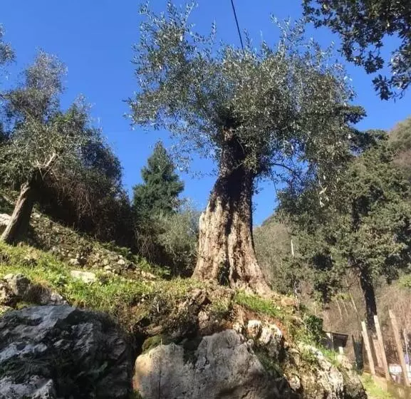 Majatalo B&b Candalla