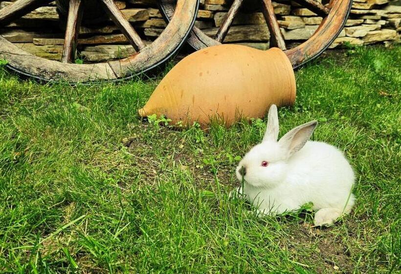 Sierra Hotel Tbilisi