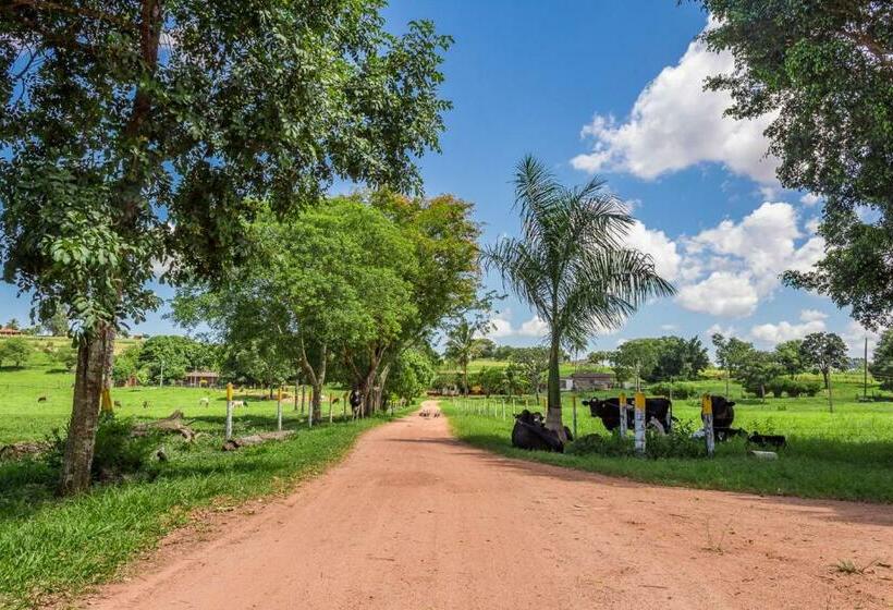 Vandrarhem Pousada Portal Da Serra