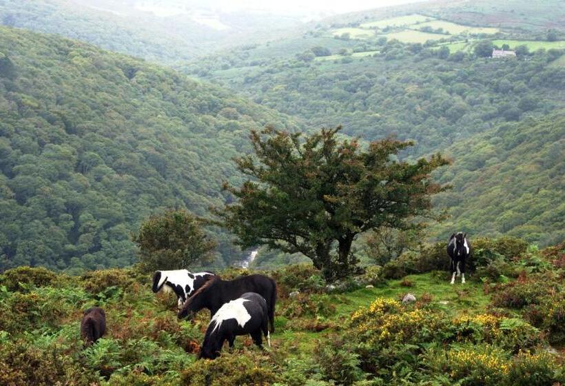 Nocleg ze śniadaniem Higher Coombe