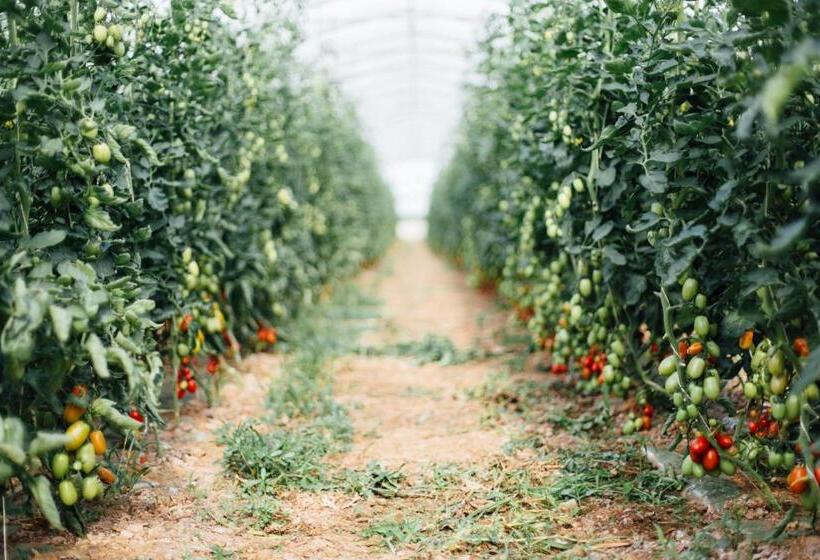 هتل Agriturismo Il Querciolo