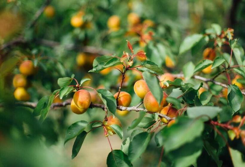 هتل Agriturismo Il Querciolo