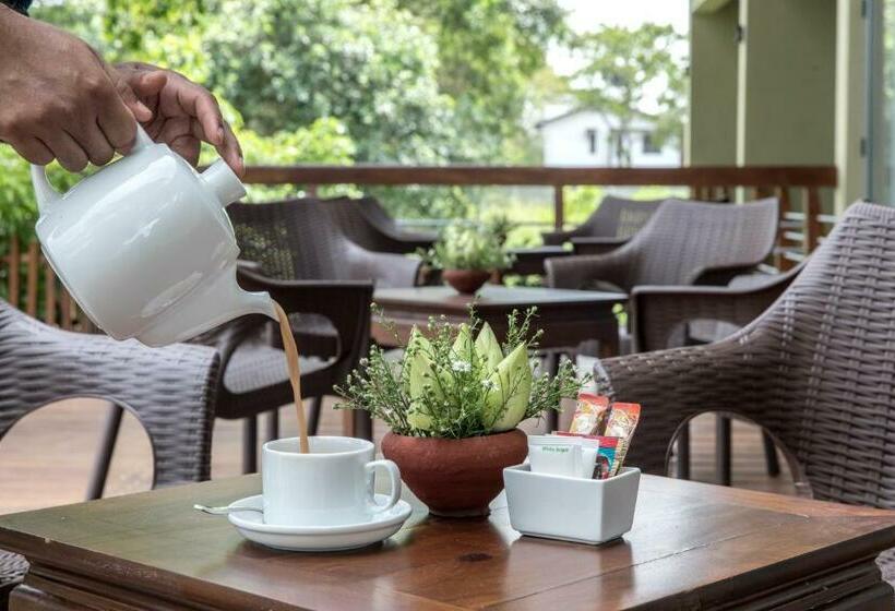 בית מלון כפרי Earls Rajarata